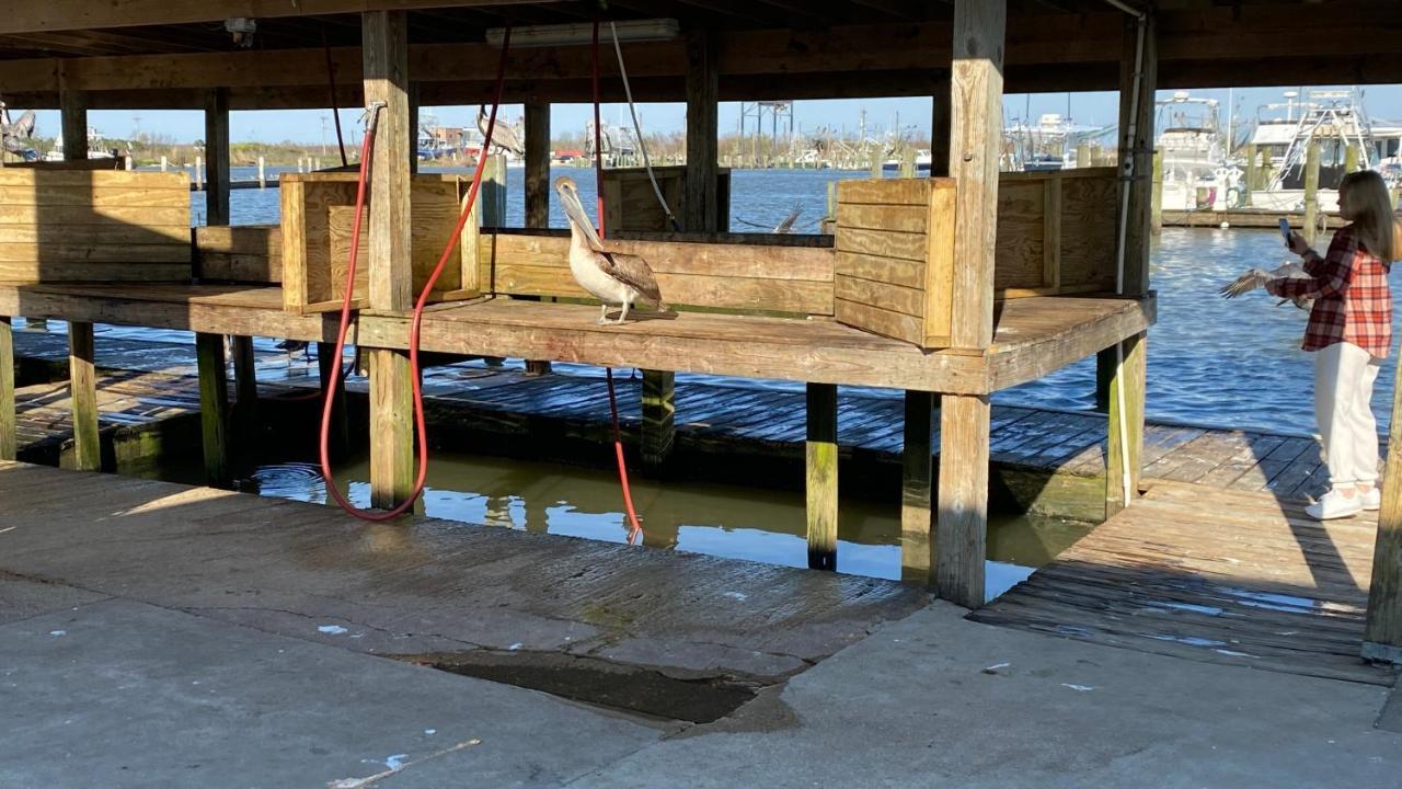 Resort Lodging At Venice Marina W/ Wifi + Private Dock Exteriér fotografie